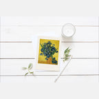[PC] Vincent van Gogh - Irises