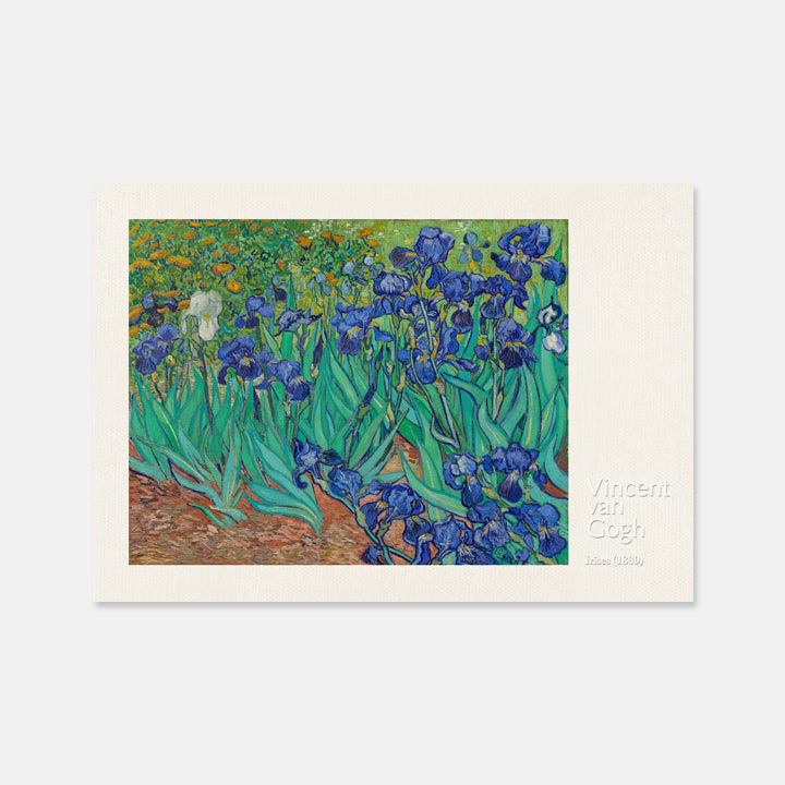[PC] Vincent van Gogh - Irises (1889)