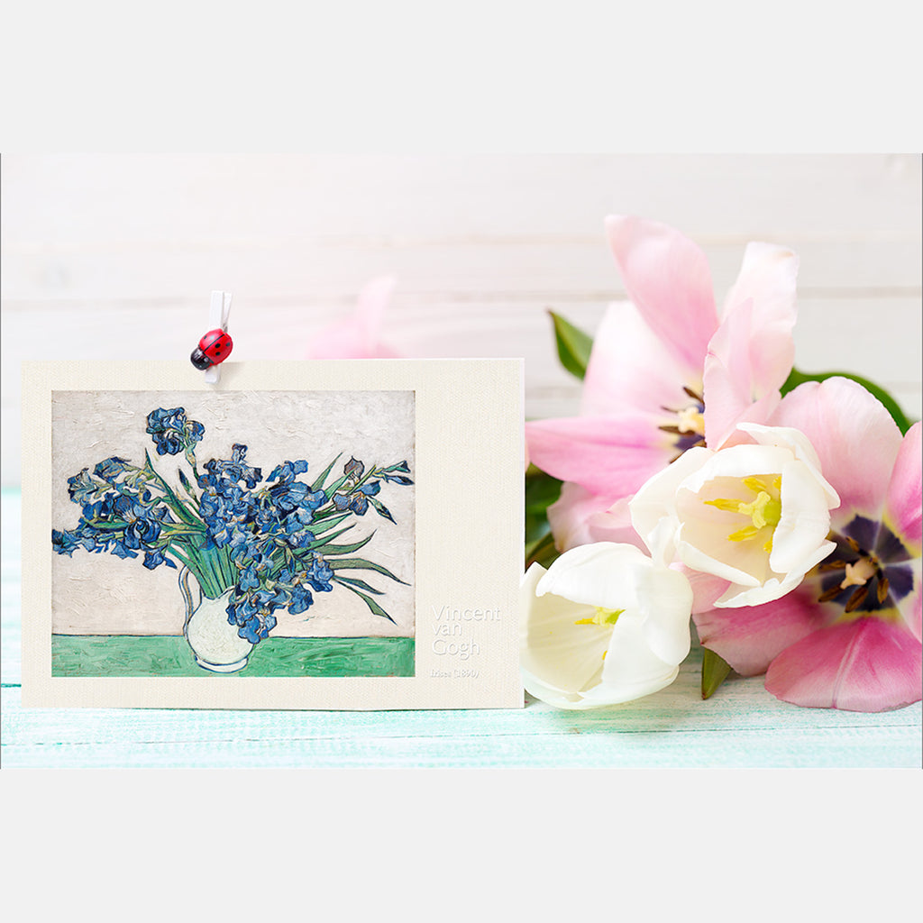 [PC] Vincent van Gogh - Irises (1890)