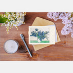 [PC] Vincent van Gogh - Irises (1890)