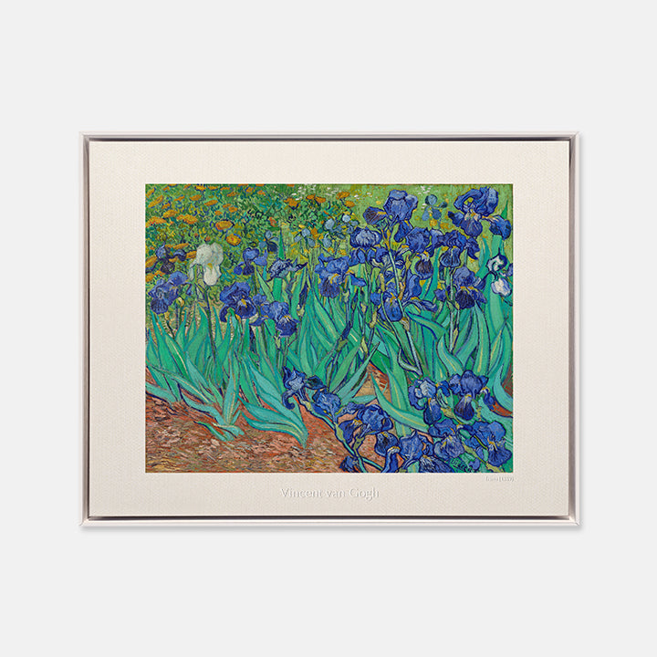 [PT] Vincent van Gogh - Irises (1889)